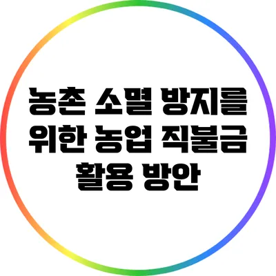 농촌 소멸 방지를 위한 농업 직불금 활용 방안