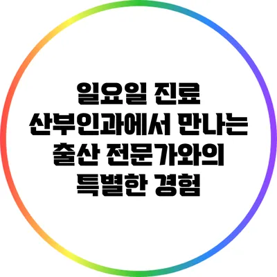 일요일 진료 산부인과에서 만나는 출산 전문가와의 특별한 경험