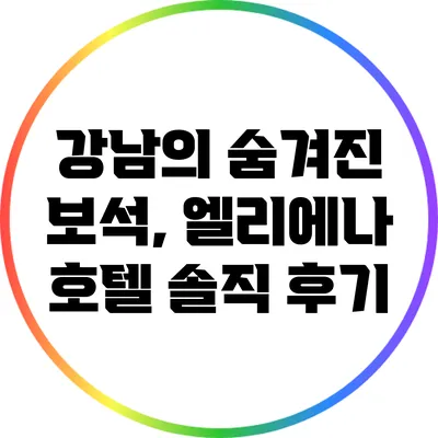 강남의 숨겨진 보석, 엘리에나 호텔 솔직 후기