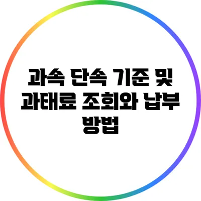 과속 단속 기준 및 과태료 조회와 납부 방법