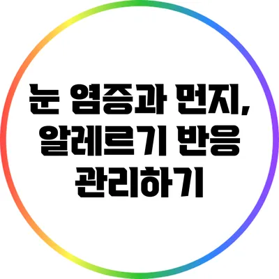 눈 염증과 먼지, 알레르기 반응 관리하기