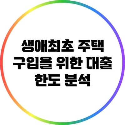 생애최초 주택 구입을 위한 대출 한도 분석