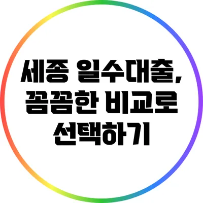 세종 일수대출, 꼼꼼한 비교로 선택하기