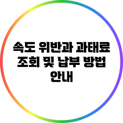 속도 위반과 과태료: 조회 및 납부 방법 안내