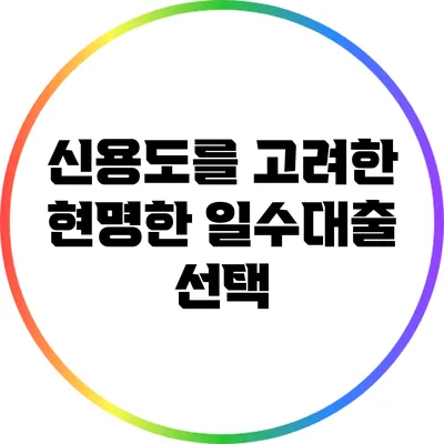 신용도를 고려한 현명한 일수대출 선택