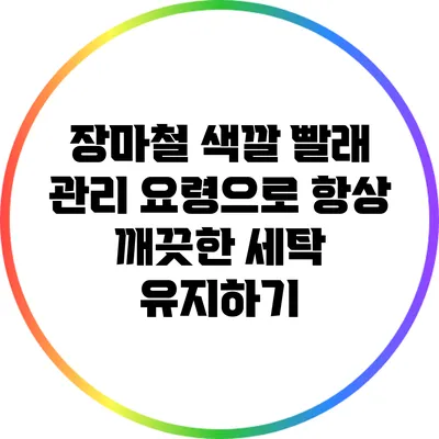 장마철 색깔 빨래 관리 요령으로 항상 깨끗한 세탁 유지하기