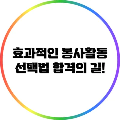 효과적인 봉사활동 선택법: 합격의 길!