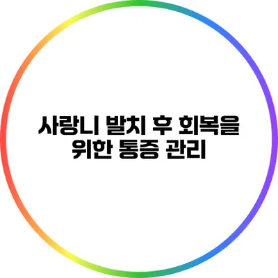 사랑니 발치 후 회복을 위한 통증 관리