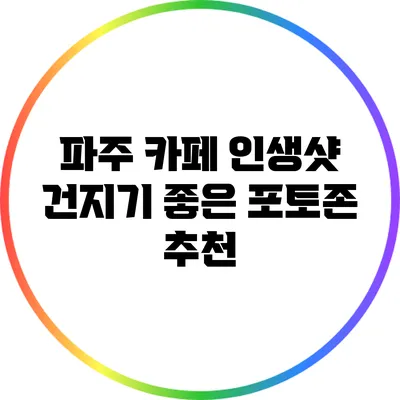 파주 카페: 인생샷 건지기 좋은 포토존 추천