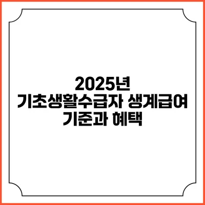 2025년 기초생활수급자 생계급여 기준과 혜택