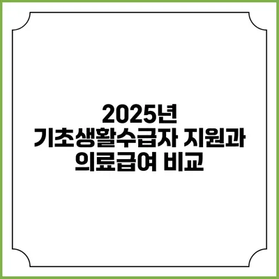 2025년 기초생활수급자 지원과 의료급여 비교