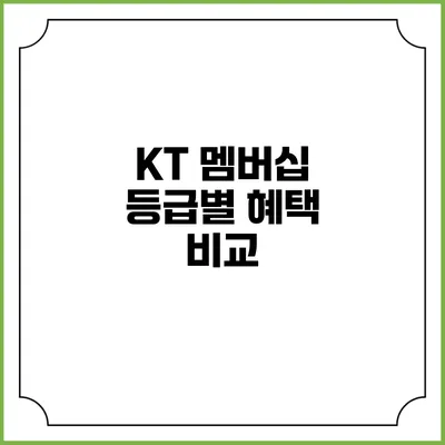 KT 멤버십 등급별 혜택 비교