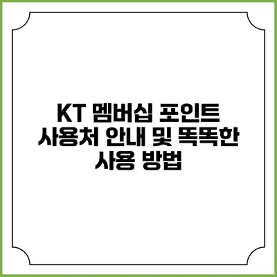 KT 멤버십 포인트 사용처 안내 및 똑똑한 사용 방법
