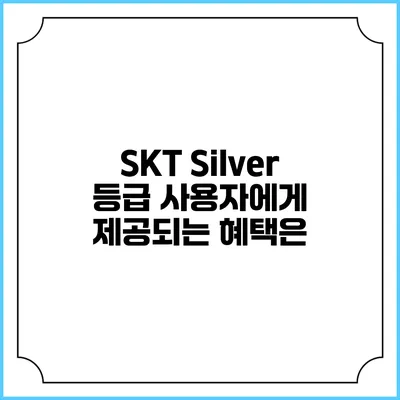 SKT Silver 등급 사용자에게 제공되는 혜택은?