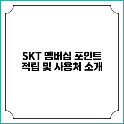 SKT 멤버십 포인트 적립 및 사용처 소개