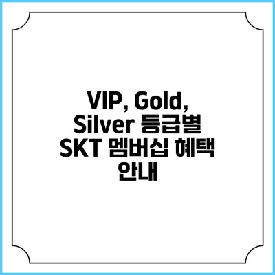 VIP, Gold, Silver 등급별 SKT 멤버십 혜택 안내