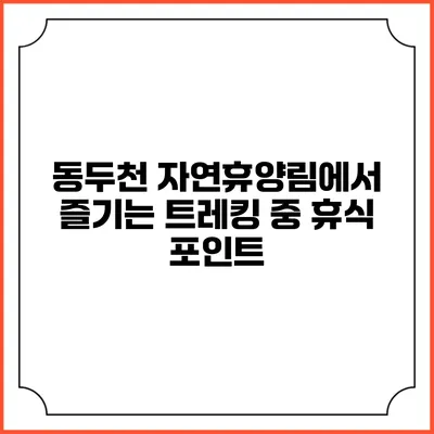 동두천 자연휴양림에서 즐기는 트레킹 중 휴식 포인트