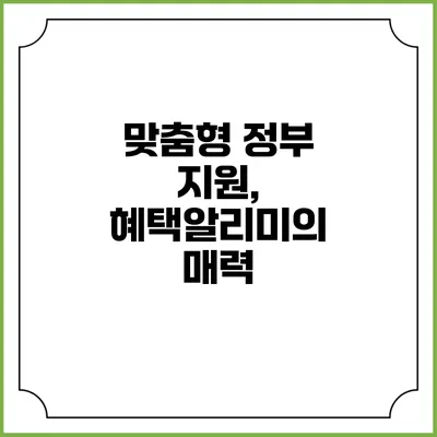 맞춤형 정부 지원, 혜택알리미의 매력