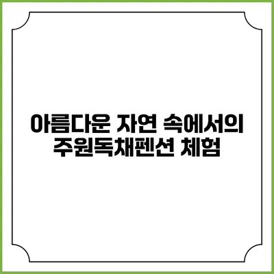아름다운 자연 속에서의 주원독채펜션 체험
