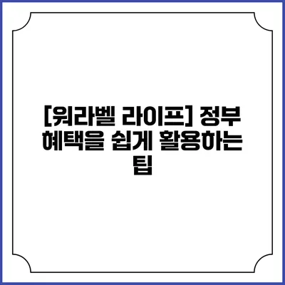 [워라벨 라이프] 정부 혜택을 쉽게 활용하는 팁