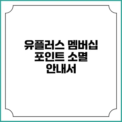 유플러스 멤버십 포인트 소멸 안내서