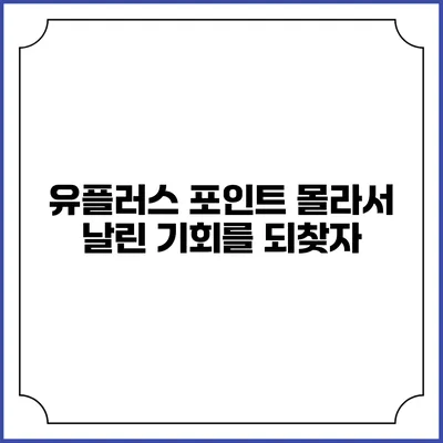 유플러스 포인트 몰라서 날린 기회를 되찾자