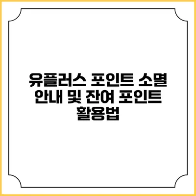 유플러스 포인트 소멸 안내 및 잔여 포인트 활용법