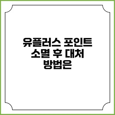 유플러스 포인트 소멸 후 대처 방법은?