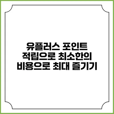 유플러스 포인트 적립으로 최소한의 비용으로 최대 즐기기