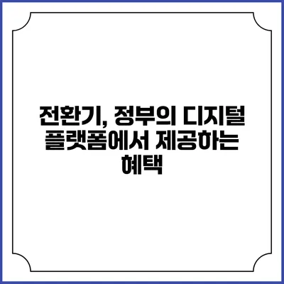 전환기, 정부의 디지털 플랫폼에서 제공하는 혜택