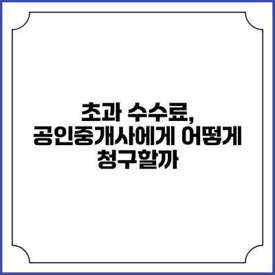 초과 수수료, 공인중개사에게 어떻게 청구할까?