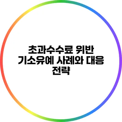 초과수수료 위반 기소유예 사례와 대응 전략