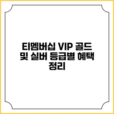 티멤버십 VIP 골드 및 실버 등급별 혜택 정리