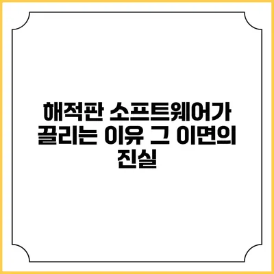 해적판 소프트웨어가 끌리는 이유: 그 이면의 진실