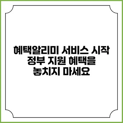 혜택알리미 서비스 시작 정부 지원 혜택을 놓치지 마세요