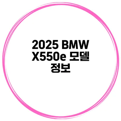 2025 BMW X550e 모델 정보