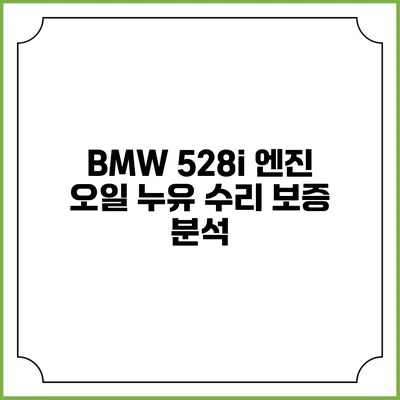 BMW 528i 엔진 오일 누유 수리 보증 분석