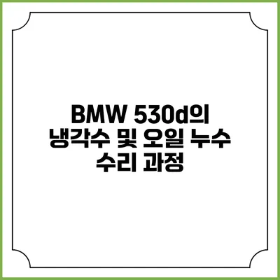 BMW 530d의 냉각수 및 오일 누수 수리 과정