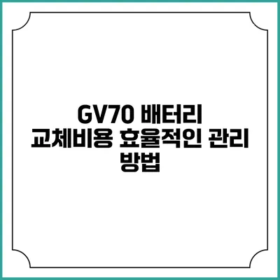 GV70 배터리 교체비용 효율적인 관리 방법