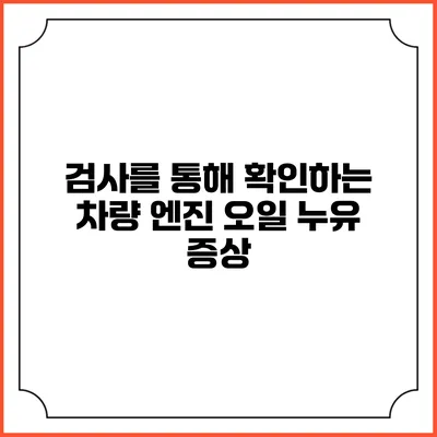 검사를 통해 확인하는 차량 엔진 오일 누유 증상