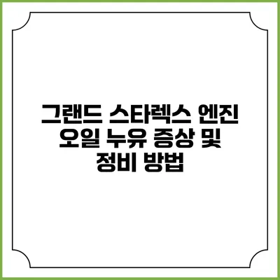 그랜드 스타렉스 엔진 오일 누유 증상 및 정비 방법