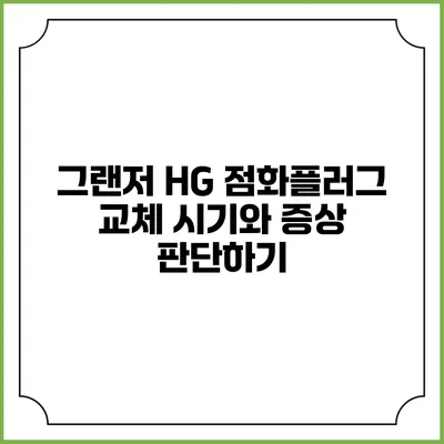 그랜저 HG 점화플러그 교체 시기와 증상 판단하기