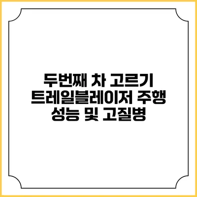 두번째 차 고르기 트레일블레이저 주행 성능 및 고질병