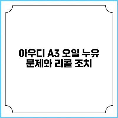 아우디 A3 오일 누유 문제와 리콜 조치
