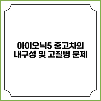 아이오닉5 중고차의 내구성 및 고질병 문제