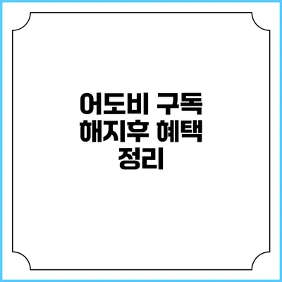 어도비 구독 해지후 혜택 정리