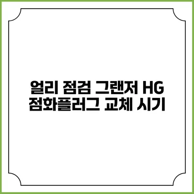얼리 점검 그랜저 HG 점화플러그 교체 시기