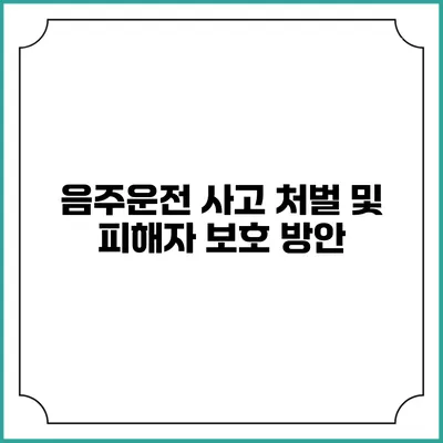 음주운전 사고 처벌 및 피해자 보호 방안