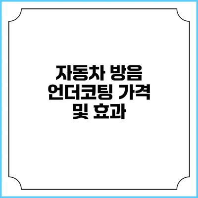 자동차 방음 언더코팅 가격 및 효과