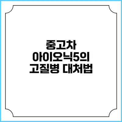 중고차 아이오닉5의 고질병 대처법